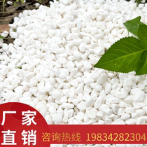 Jilin cobblestone natural small stone rain flower stone white small stone white stone flower pot potted succulent decoration