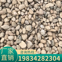 Jiangxi Natural Goose Pebble River Pebble Stream Stones Large Round Stone Spring Pendulum Pieces Stone Town Residence Original Stone Cloth View Interior