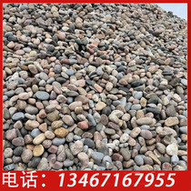 Cobblestone substation with 5-8 cm river pebbles garden paving and landscaping river pebbles