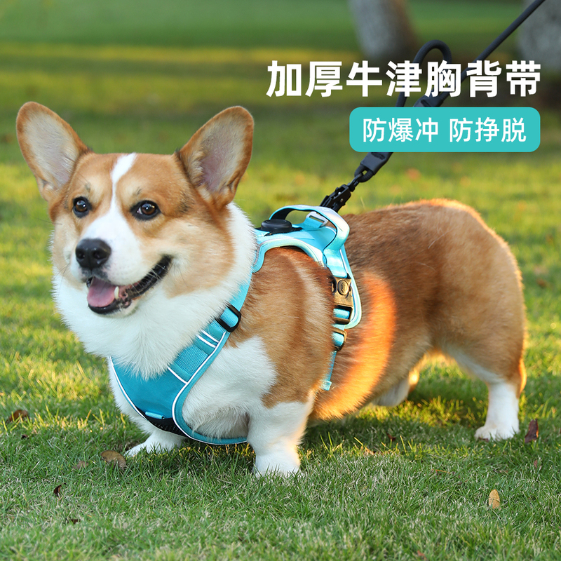 Corgi Dog Leash Harness Vest-Style Harness for Medium and Large Dogs, Shiba Inu Anti-Pull Pet Walking Leash Dog Leash Corgi Dog Leash Harness Vest-Style Harness for Medium and Large Dogs, Shiba Inu Anti-Pull Pet Walking Leash Dog Leash