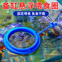 Special fish food feeder for fish tank fish feeding artifact guppy floating feeding ring brine shrimp fish food feeder
