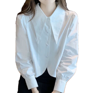 冠幂2023秋季时尚别致尖领短款上衣女设计感小众时髦洋气长袖衬衫