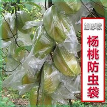 Thickened star fruit insect-proof fruit bag insect-proof bird-proof growth-promoting protective transparent film special breathable universal bag