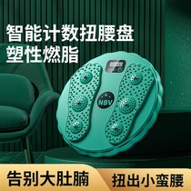 Source manufacturer waist twisting disc home fitness fitness smart counting twisting waist turntable street dance machine fitness equipment indoor