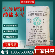Hangzhou hot-selling fast-hardening sulfoaluminate quick-drying cement 425 high-strength quick-setting tunnel well pipe repair