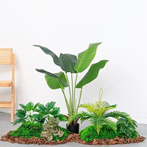 Simulated moss bulging plants indoor living room decoration micro-scape turf green plants landscaping green plants landscape lawn