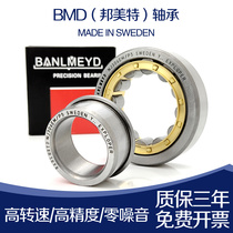 Swedish BMD imported cylindrical roller bearing NJ2238 2244 2248 2256 2304 2305EM P5