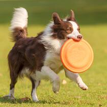 Frisbee dog special Frisbee bite-resistant soft flying saucer large medium and small Border Collie Golden Retriever Labrador dog training pet toy