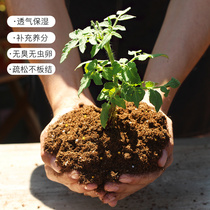 Vegetable planting soil vegetable planting soil organic nutrient soil home balcony planting and flower cultivation Q potted plant universal multi-succulent mud