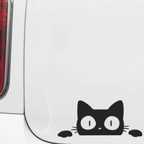 14CM*6 2CM Surprise Cat Peeking Funny Vinyl Vehicle Graphics