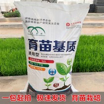 Agricultural peat soil coconut brick soil universal rice seedling cultivation vegetable flower cultivation matrix M seedling cultivation substrate organic nutritional soil flower