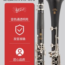 Clarinet instrument B flat 17 key basic test professional ebony clarinet