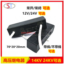 High voltage reed relay 14KV 20KV 12V 24VDC normally open normally closed high voltage discharge switch