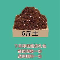 Bamboo Artichoke Applicable Soil 5 Catty Gardening Potted Weak Acid Soil Green Plant Special Sandy Clay Peat Soil Fertiliser