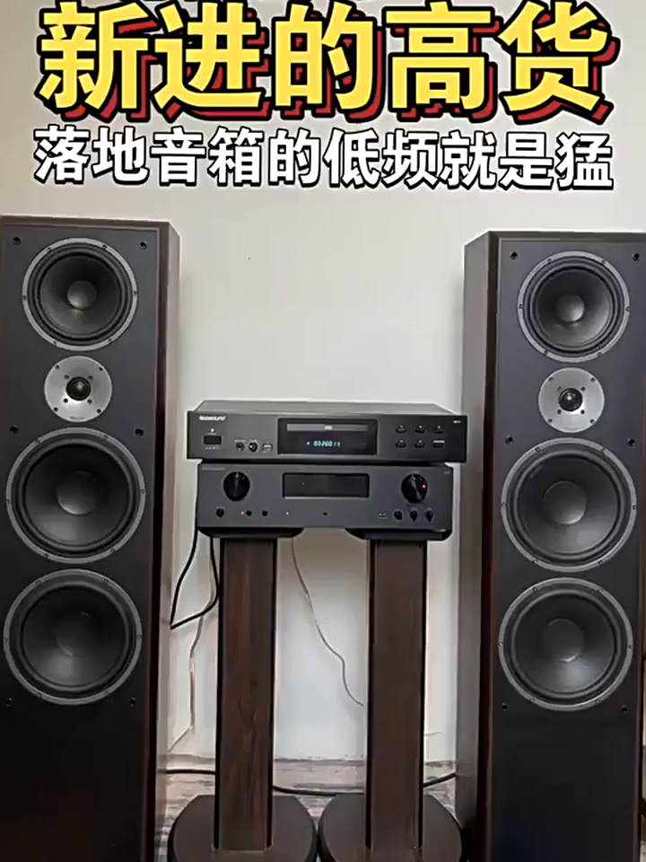 8280块买对音箱、耳朵能够怀孕到报警？