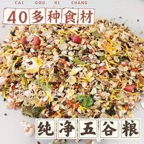 Hamster golden bear flower branch macaroni self-prepared grain pure grains more than 40 ingredients can be mixed with grains to control weight