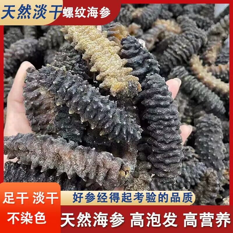 Australian thread Ginseng Pure Dry Dragon Tattooen non-Chinese Ginseng Deep-sea Wild Black Thorn in long Spurs Screw Dried Sea Cucumber Dry Cargo-Taobao