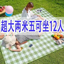 Outdoor Picnic Mat thickened Waterproof Suburbs Camping Portable Cushions Anti Tide Cushion Spring Cruise Beach Foldable Mat