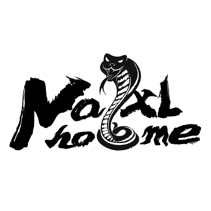 Naixlhome旗舰店的LOGO
