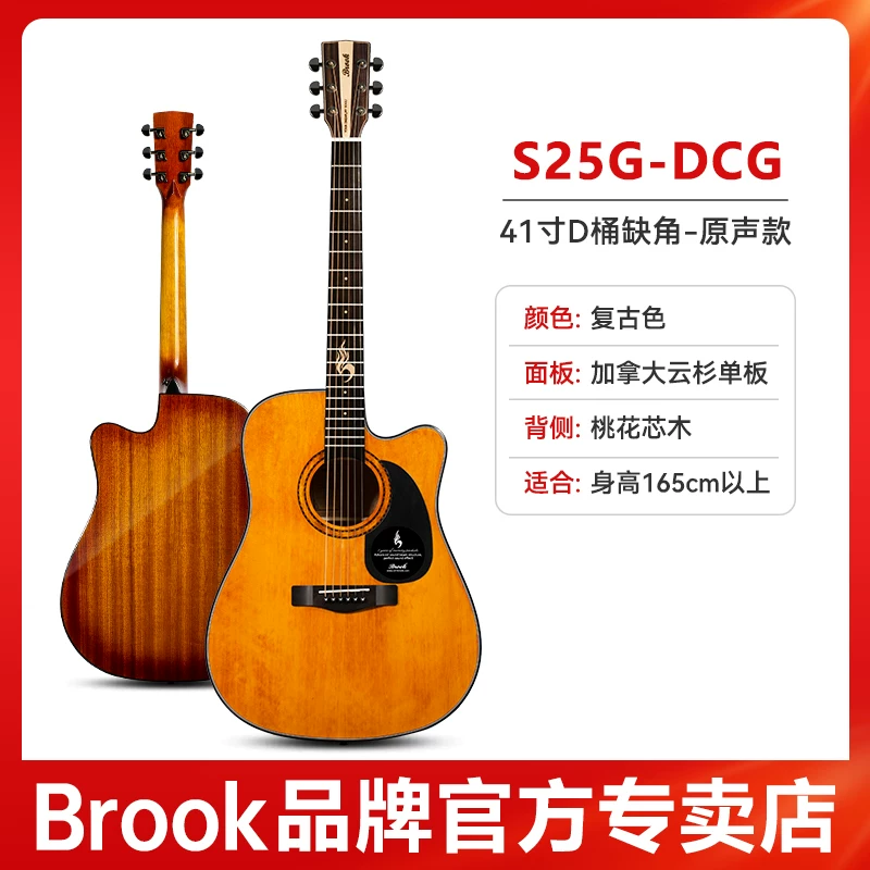 Гитара-однокорпус Brook Brook s25 — официальный флагманский продукт
