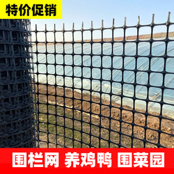 Plastic fence net chicken net circle vegetable garden fence orchard fish pond protective net breeding chicken fence net enclosure fence