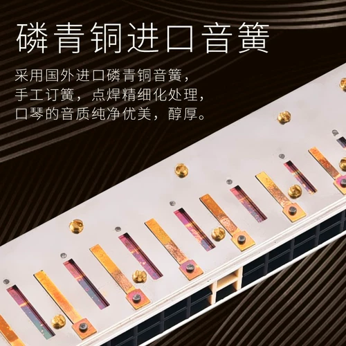 Профессиональная губная гармошка для взрослых для начинающих подходит для мужчин и женщин, Шанхай