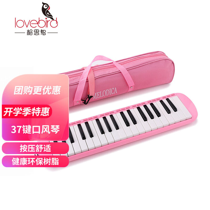 Syth Birds 37 Keyhole Organ Oxford Bag Packed Classroom Elementary School Students Play Begat Elementary School Kids Musical Instrument Pink-Taobao