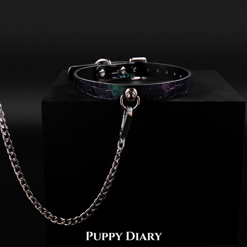 Puppy* Chameleon Genuine Leather Choker for Women and Men, High-End Top-Grain Cowhide Necklace, Engravable.