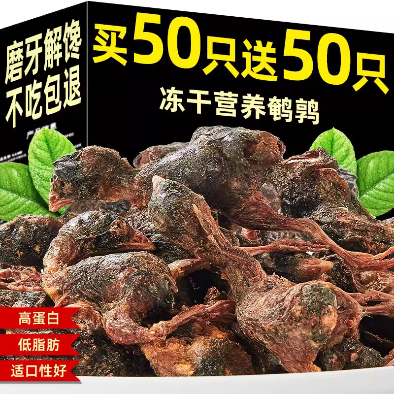 Freeze-Dried Quail Cat Snacks Supplement Nutrition for Kittens, Special Teething Sticks for Cats, Cat Snacks, Raw Meat Cat Food