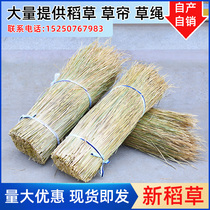 New Natural Dry Straw Straw Made of mildew Tofu paille paille Roof Decorated Straw Curtain de riz bois de chauffage paille Rope Valley Grass