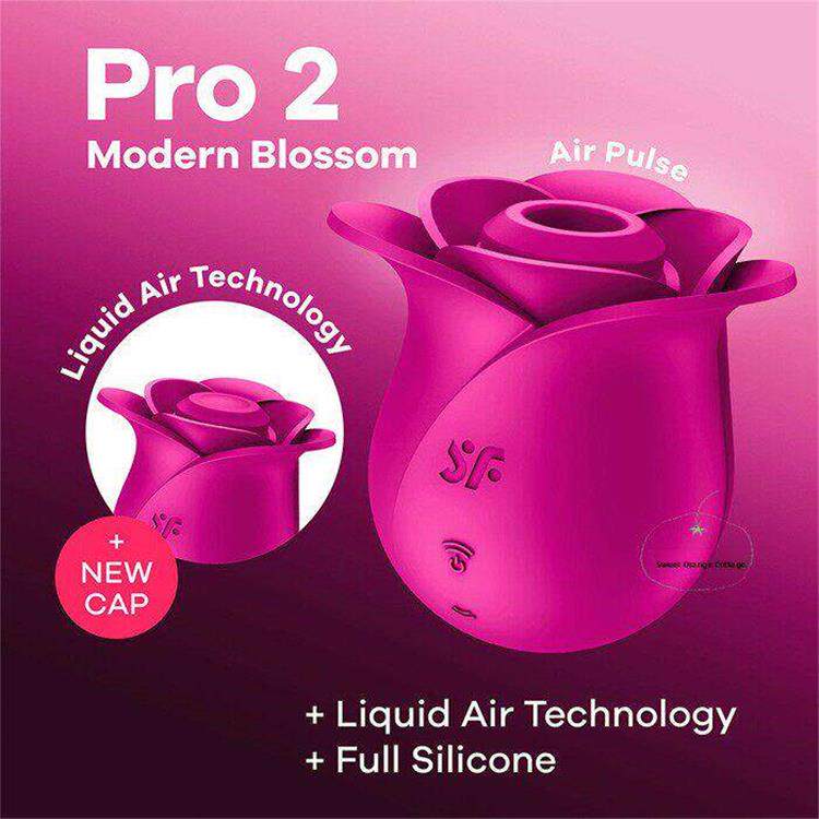 Seetwerer Pro 2 Classic/Modern Blossom Сосание воздух импульс роуз вибрация устройство 