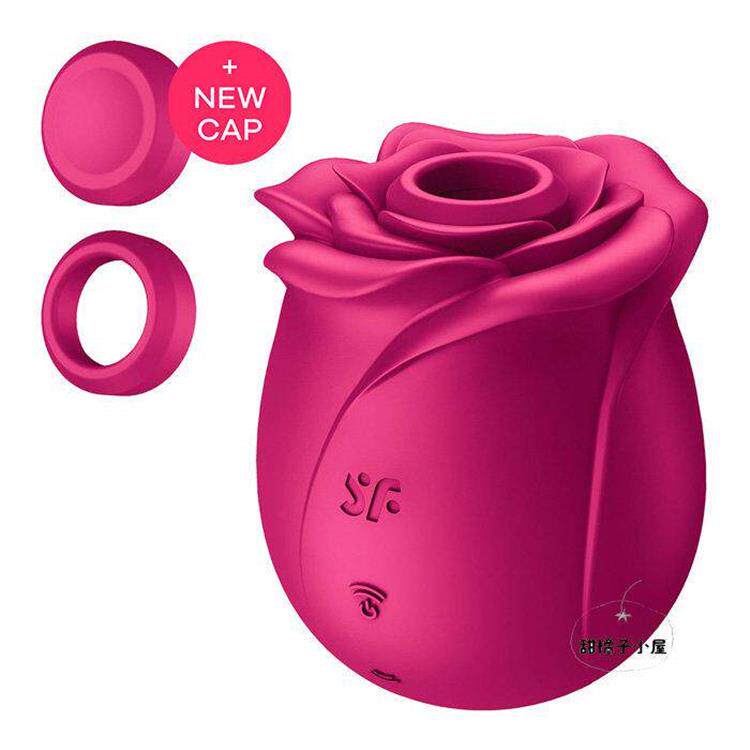 Seetwerer Pro 2 Classic/Modern Blossom Сосание воздух импульс роуз вибрация устройство 