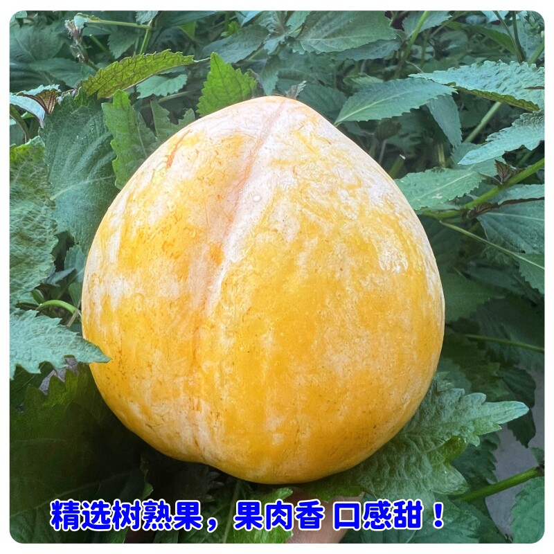 粤北小吃货的LOGO