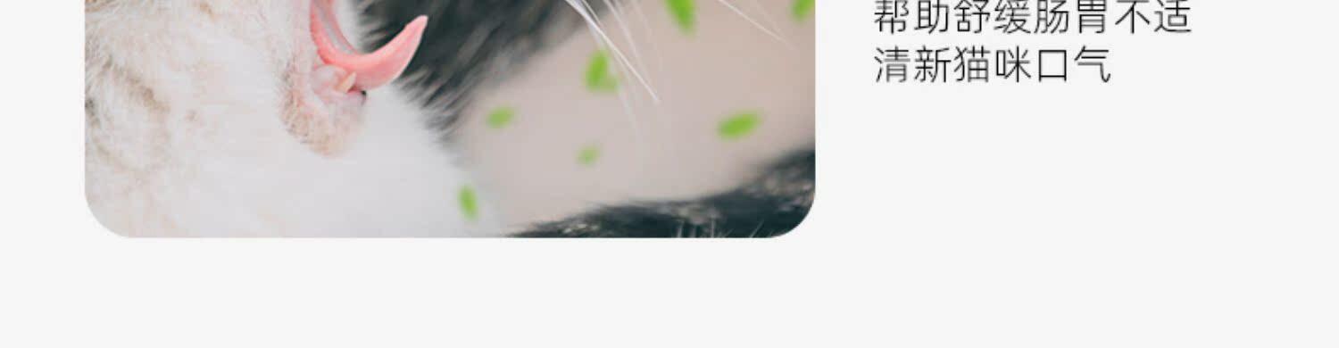 Кошки закуски 猫草盆栽种籽水培盒懒人种植有机猫草化毛球片小麦种子育苗盘零食 Pampas