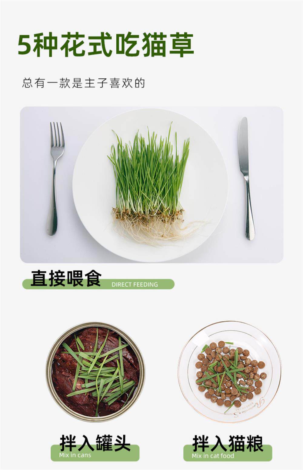 Кошки закуски 猫草盆栽种籽水培盒懒人种植有机猫草化毛球片小麦种子育苗盘零食 Pampas