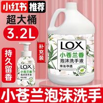 Hand sanitizer foam type long-lasting fragrance sterilization household into childrens press bottle student dormitory refill