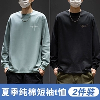 Маленькая отметка, свободная линия, соответствует зеленому цвету + маленькая отметка, звездочка, подпись, черная буква