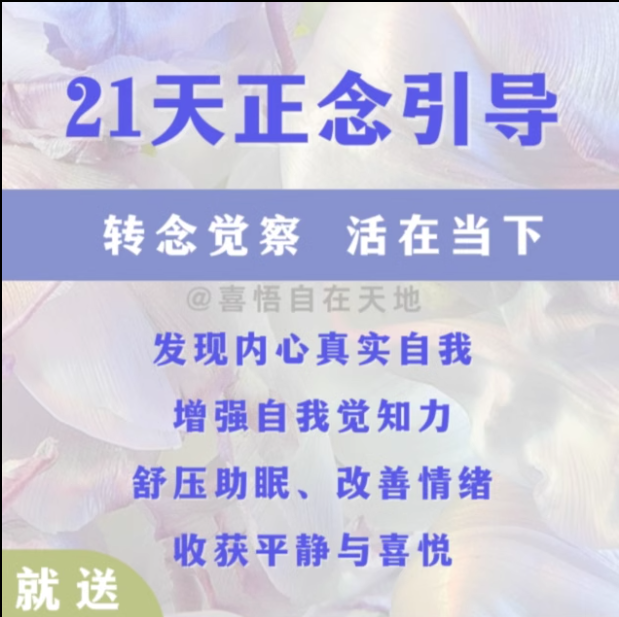 Positive to boot boot camp Relaxes Calm Mind Conditioning Mood Transfer Live in the moment Mindfulness Meditation Course-Taobao