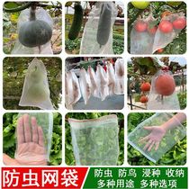 Insect-proof net bag for fruit trees bird-proof net strawberry anti-fruit fly gauze grape bagging special fig net cover artifact