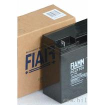 Italy FIAMM extraordinary battery FG21703 12V17AH UPS power supply precision instrument valve-controlled battery