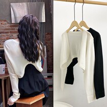 Ice silk blue long-sleeved sunscreen knitted cardigan for women summer thin high-end Tencel shawl blouse short top