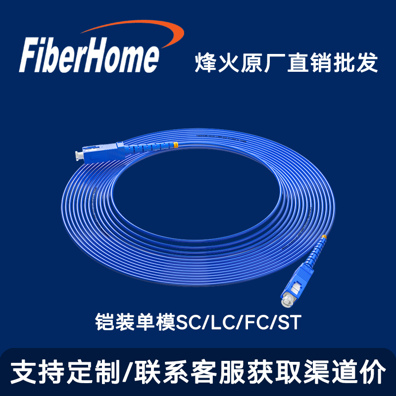 Fiber Optic Armored Single-Mode Fiber Patch Cord Single/Double Core Sc/Lc/Fc Pigtail Carrier-Grade Gigabit Square Head Patch Cord