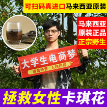 Kaki Flower Tima Malaysia Khaki Flower 500g Pure wild natural Womens Premium Khaki Flower Tea