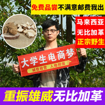 Authentic Malaysian wild Mopo plus leather slices with whiskers Male tonic sparkling wine Mopo plus leather 500g