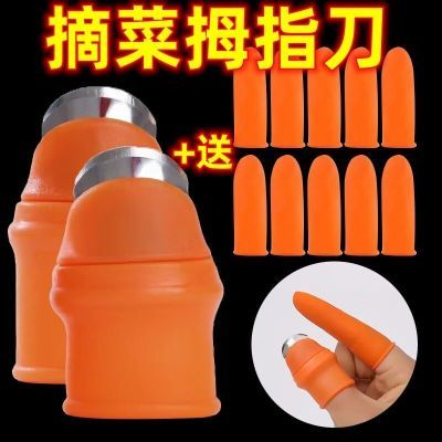 Selection of vegetable dishes trim trimminger Remove Iron Fingernail Thumb Knife Pinch Plucked Pepper Beauty Hairdresser Special Gloves-Taobao