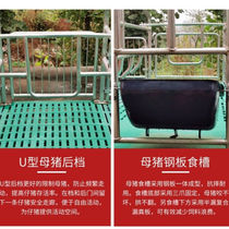 New sow farrowing bed twin farrowing bed single farrowing bed nursery bed hot-dip galvanized tube piglet farrowing bed breeding equipment)