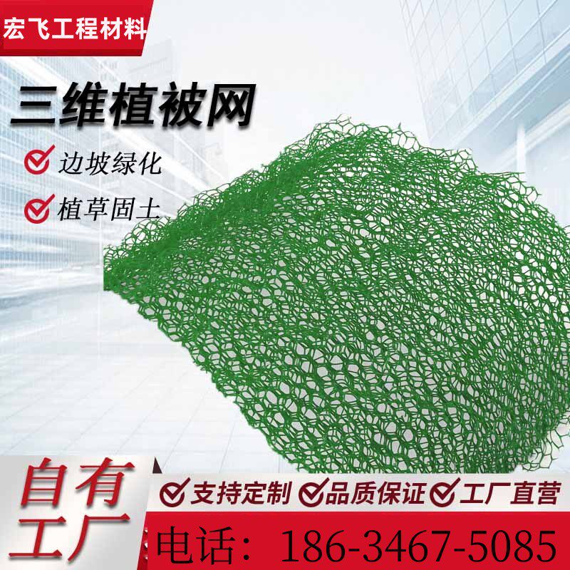 Three-dimensional Vegetation Net Planting Grass Care Slopes Hdpe Manufacturer Side Slope Protection EM3 Plus Gluten Stretch Three-dimensional Geotechnical Mats-Taobao