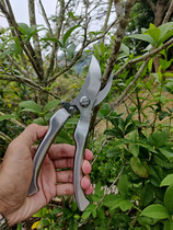 Zhang Xiaoquan stainless steel strong branch shears garden scissors fruit tree thick branch shears gardening flower pruning bonsai pruning shears