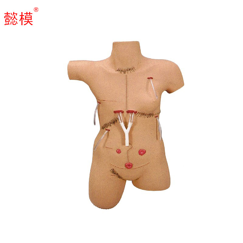 懿模 LV18 外科缝合包扎展示模型 可进行手术切口的部位与缝合展示，共26处切口设计
