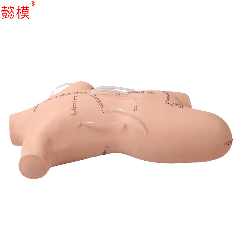 懿模 LV18外科缝合包扎展示模型清创切开缝合演示教具拆线换药教学假人清创训练模拟人